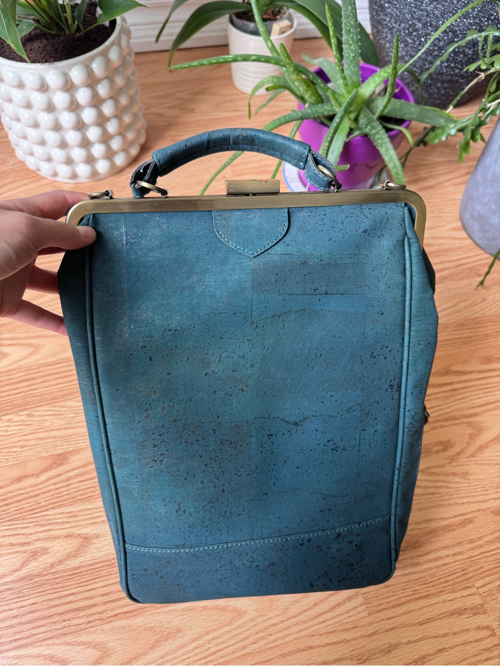 Laflore Paris Bobobark Convertible Backpack